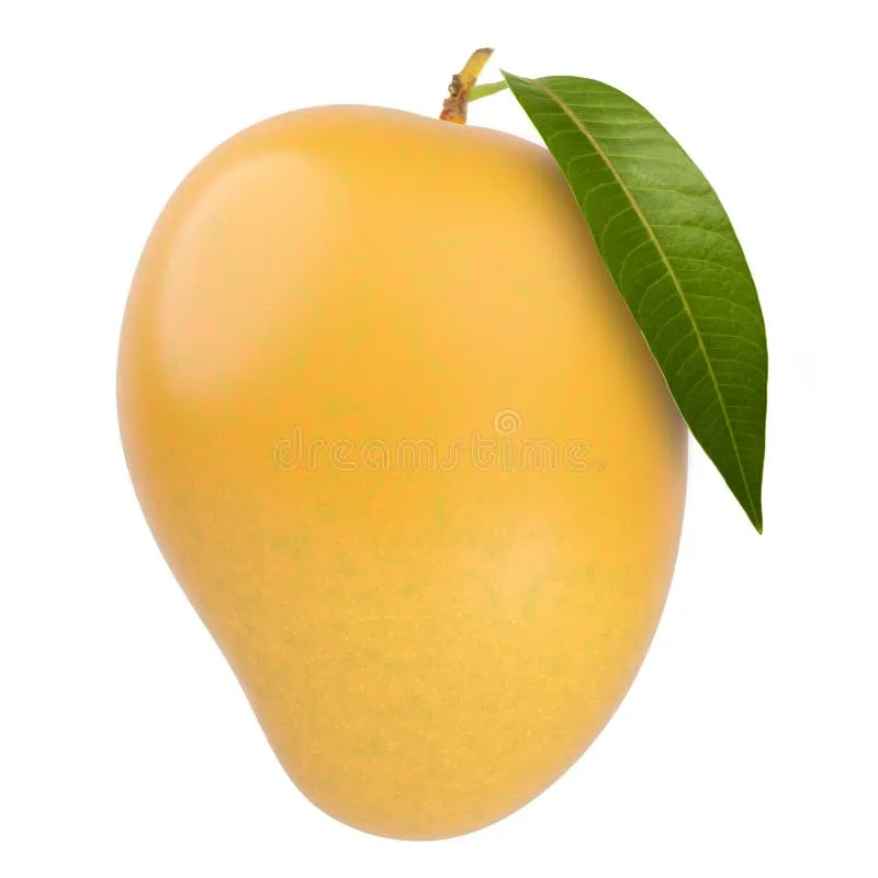 Alphonso