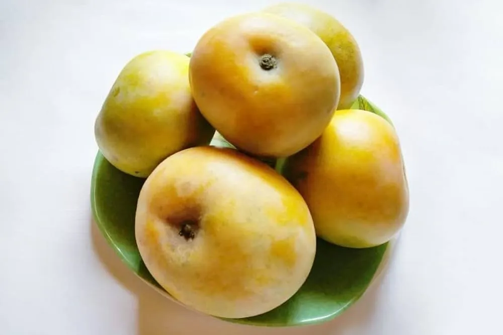 Au Rumani