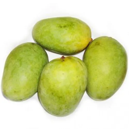 Chausa