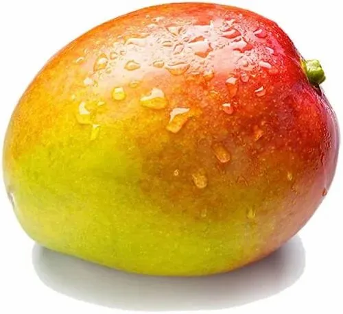 Gulabkhas