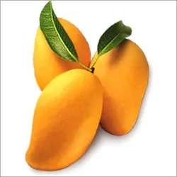 Manjeera