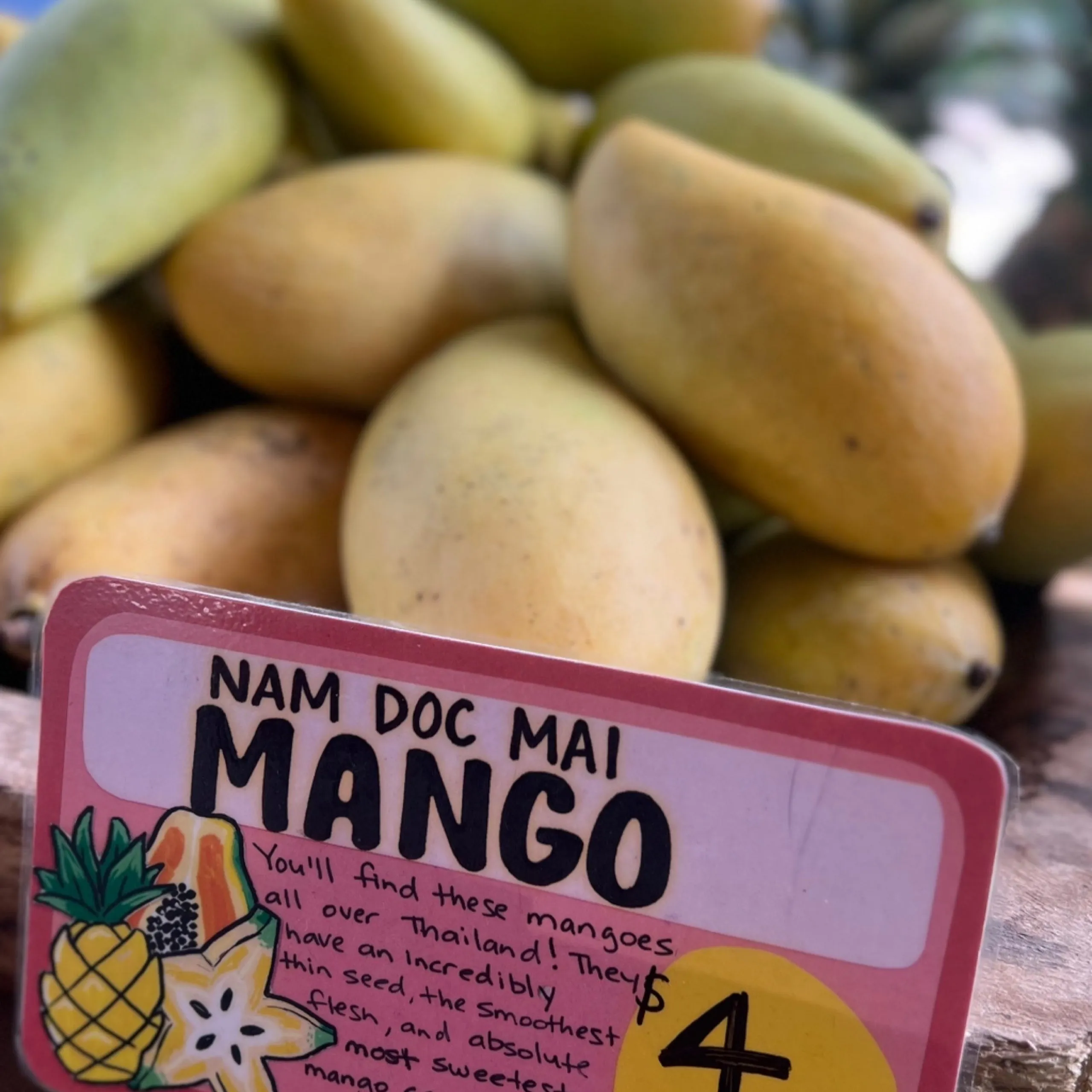 Nam Doc Mai