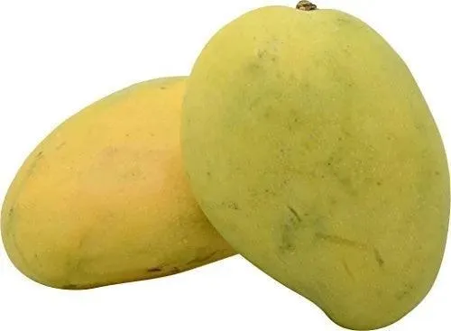 Priyoor Mango